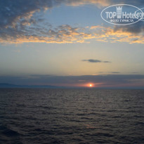 фото из отзыва ID 969052