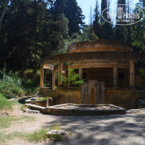 фото из отзыва ID 969052