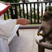 фото из отзыва ID 969104