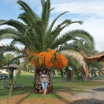 фото из отзыва ID 970321