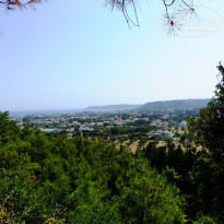 фото из отзыва ID 970335