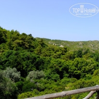 фото из отзыва ID 970335