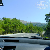 фото из отзыва ID 970335