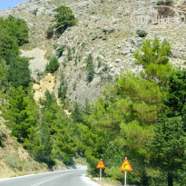 фото из отзыва ID 970335