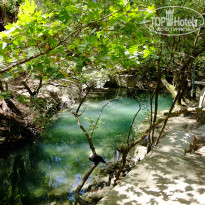 фото из отзыва ID 970335