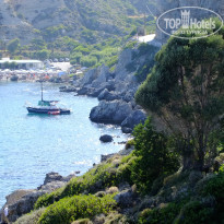 фото из отзыва ID 970335