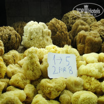 фото из отзыва ID 970335