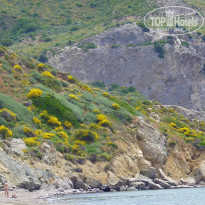 фото из отзыва ID 970461