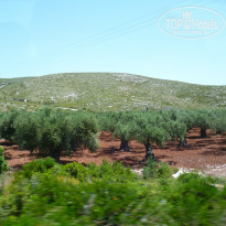 фото из отзыва ID 970461