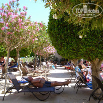 фото из отзыва ID 970461