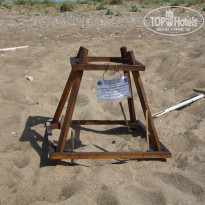 фото из отзыва ID 970461