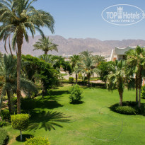 фото из отзыва ID 970733