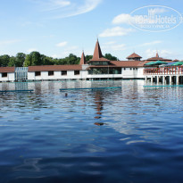 фото из отзыва ID 970755