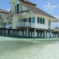 фото из отзыва ID 971230