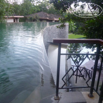 фото из отзыва ID 971616