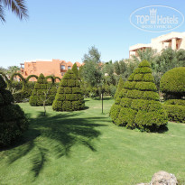 фото из отзыва ID 971647