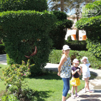 фото из отзыва ID 971647