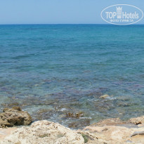 фото из отзыва ID 971667