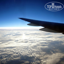 фото из отзыва ID 971667