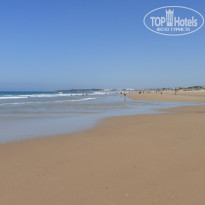 фото из отзыва ID 971779