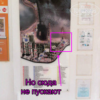 фото из отзыва ID 971824