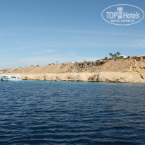 фото из отзыва ID 971985