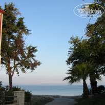 фото из отзыва ID 971646