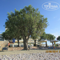 фото из отзыва ID 971730