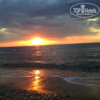 фото из отзыва ID 972126