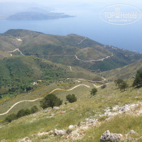 фото из отзыва ID 972126