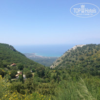 фото из отзыва ID 972126