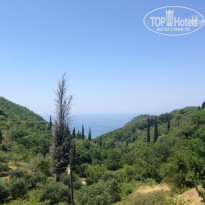 фото из отзыва ID 972126