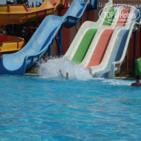 фото из отзыва ID 972320