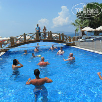 фото из отзыва ID 972698