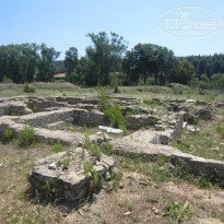 фото из отзыва ID 972877