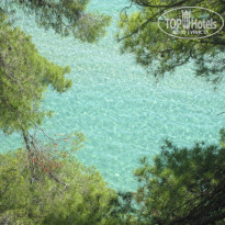 фото из отзыва ID 972877