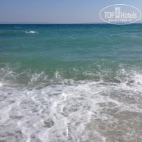 фото из отзыва ID 972861