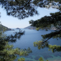 фото из отзыва ID 972222