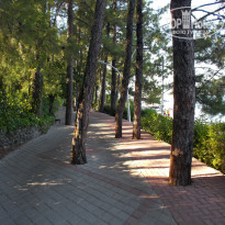 фото из отзыва ID 972222