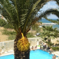 фото из отзыва ID 97307