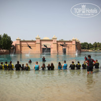 фото из отзыва ID 973022