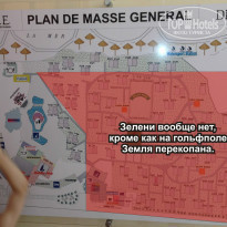 фото из отзыва ID 973029