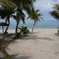 фото из отзыва ID 973067