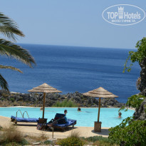 фото из отзыва ID 973108