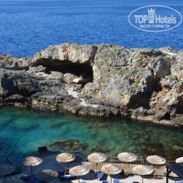 фото из отзыва ID 973108