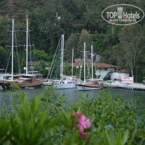 фото из отзыва ID 973249