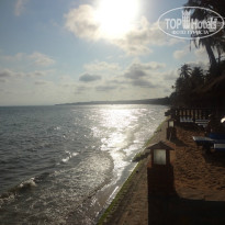 фото из отзыва ID 973305