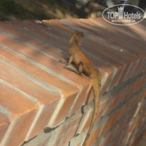 фото из отзыва ID 973305