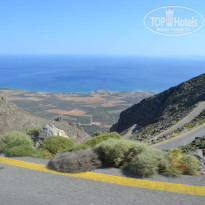 фото из отзыва ID 973775