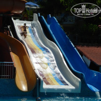 фото из отзыва ID 973898